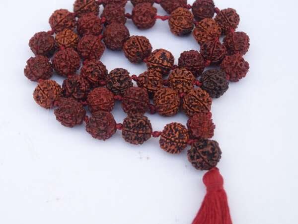 Ikshvaku Rudraksha Malas