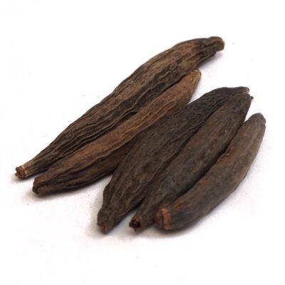 Ikshvaku Organic Kapok Seeds (Marathi Moggu) | Natural